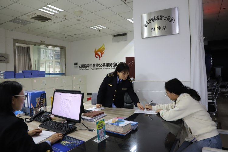 知識產權強縣戰略賦能 市場主體跑出量質提升“加速度”——以云陽實踐為例